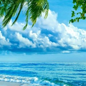 Meet your Posher, Jaime